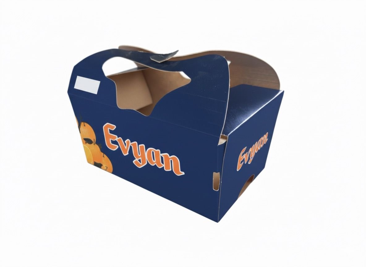 CESTA 900gr 5,6 euro